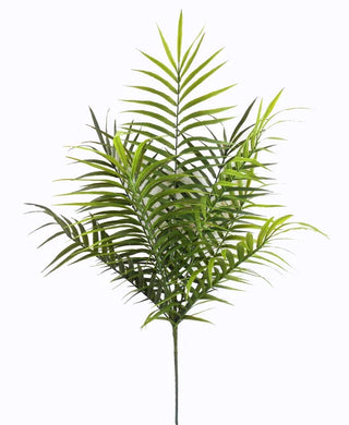 36" Mixed Palm Bush
