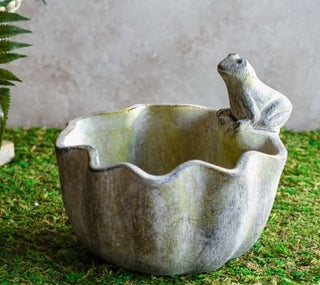 Gray Sitting Frog Bowl