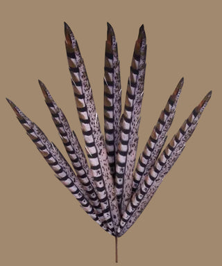 33"L Faux Pheasant Feather Spray
