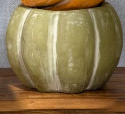 Pre Order Open Top Pumpkin, 3 Color Options