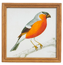 9" Bird on Branch Framed Print, Style Options