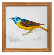 9" Bird on Branch Framed Print, Style Options