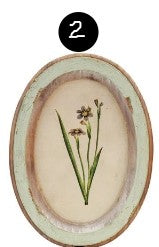 Oval Wood Framed Glass Wall Décor with Flower, 9 Style Options