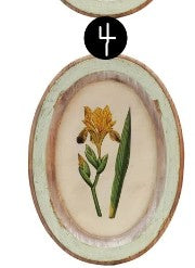 Oval Wood Framed Glass Wall Décor with Flower, 9 Style Options