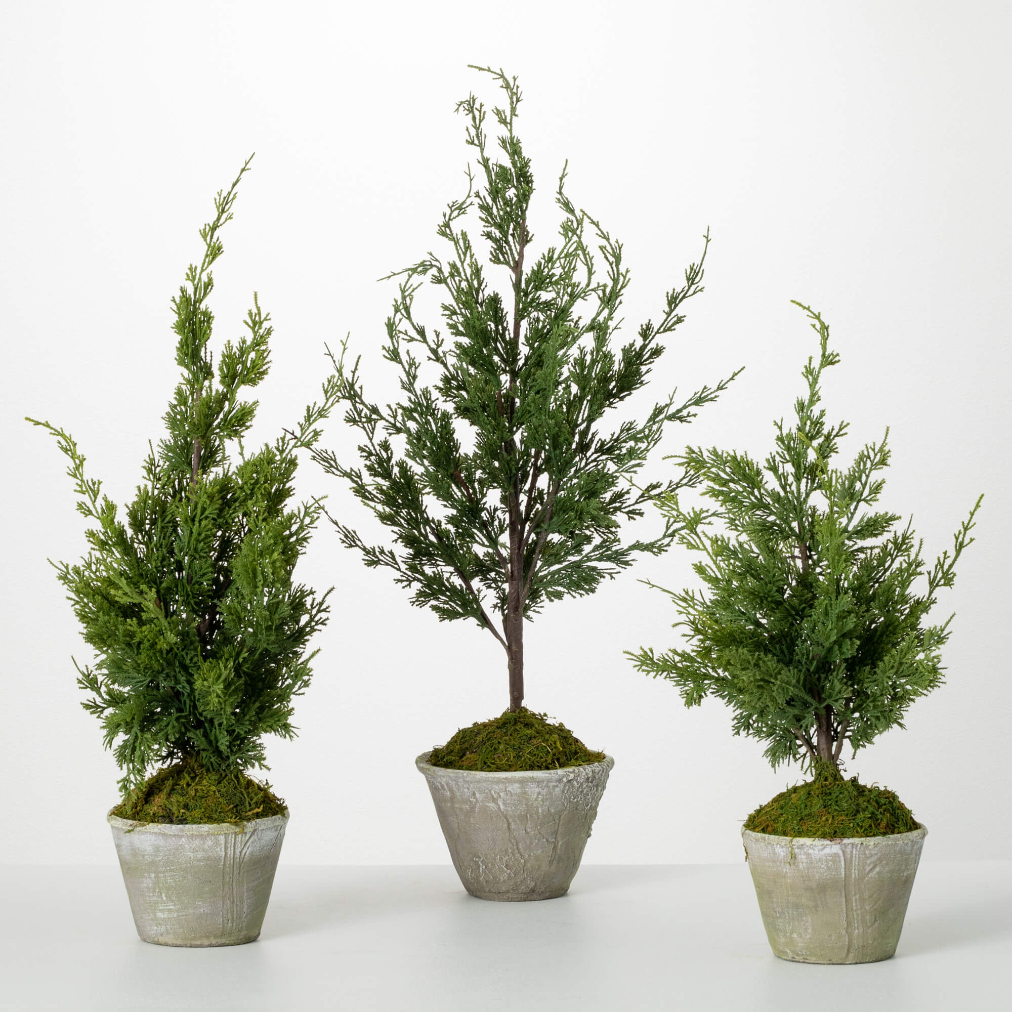 Faux Dwarf Cedar Tree, Size Options