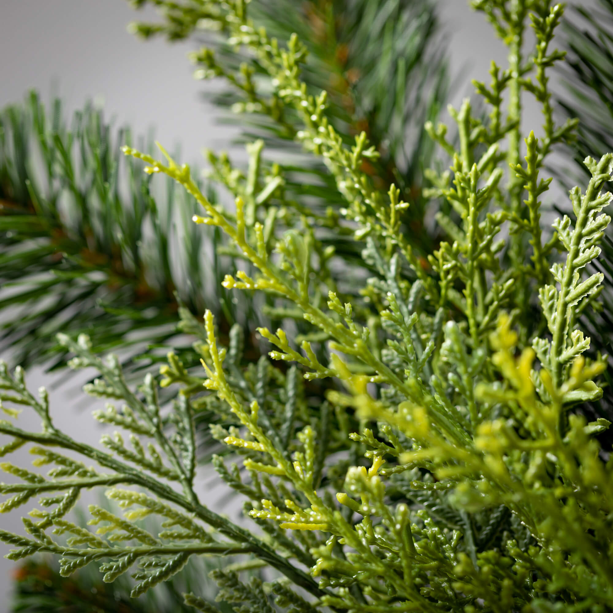 Lush Green Douglas Fir Wreath