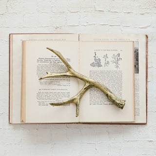 Distressed Gold Cast Iron Antler
