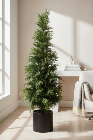 60" Potted Cedar Tree