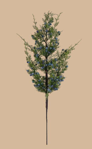 24" Oregon Juniper Berry Spray