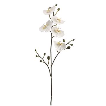 34" Phalaenopsis Orchid Spray