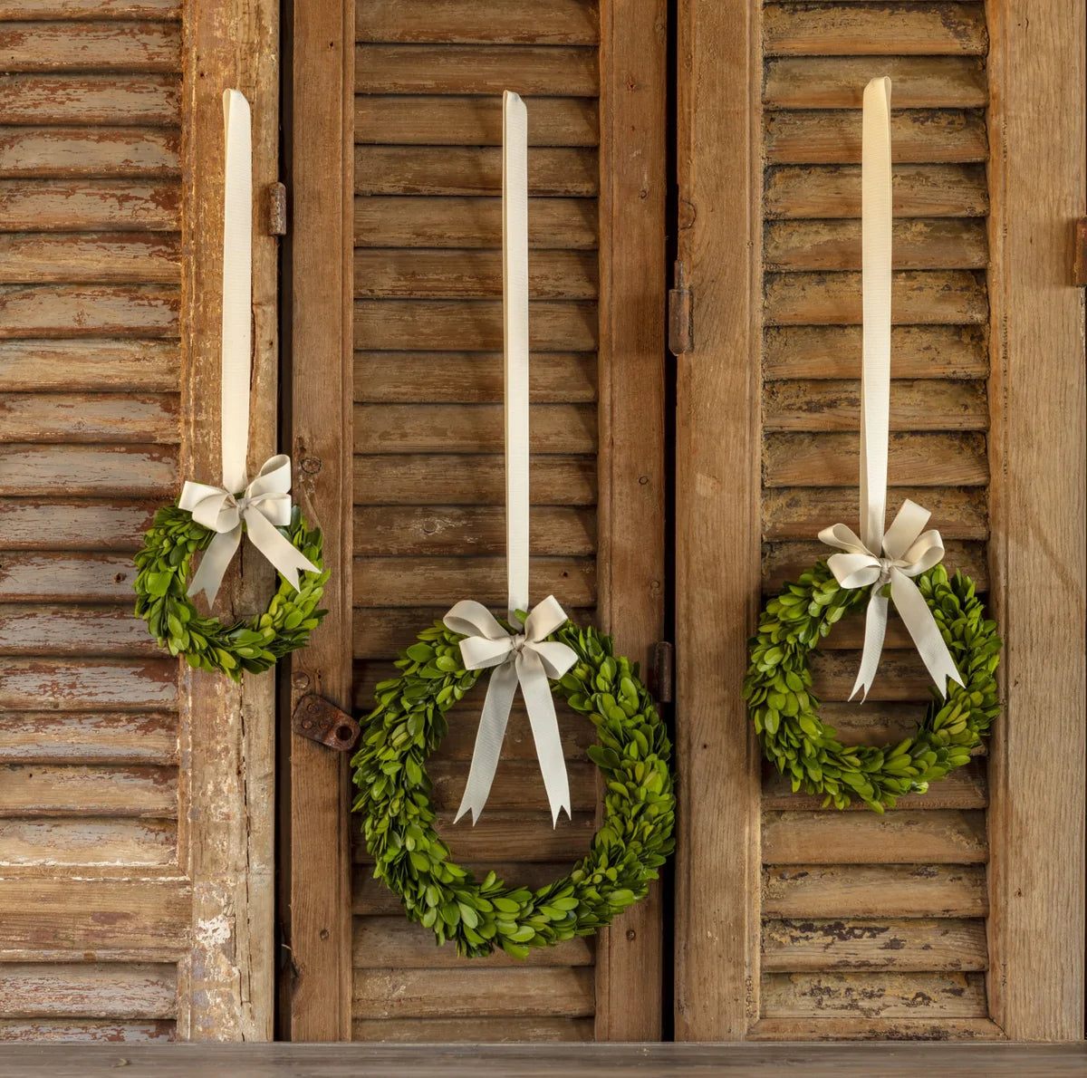 Boxwood Wreaths With Ribbon, Set of 3