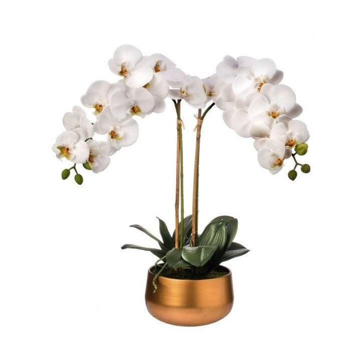 22" Natural Touch Phaleanopsis in Gold Pot