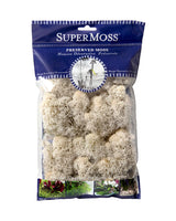 Reindeer Moss, Assorted Colors