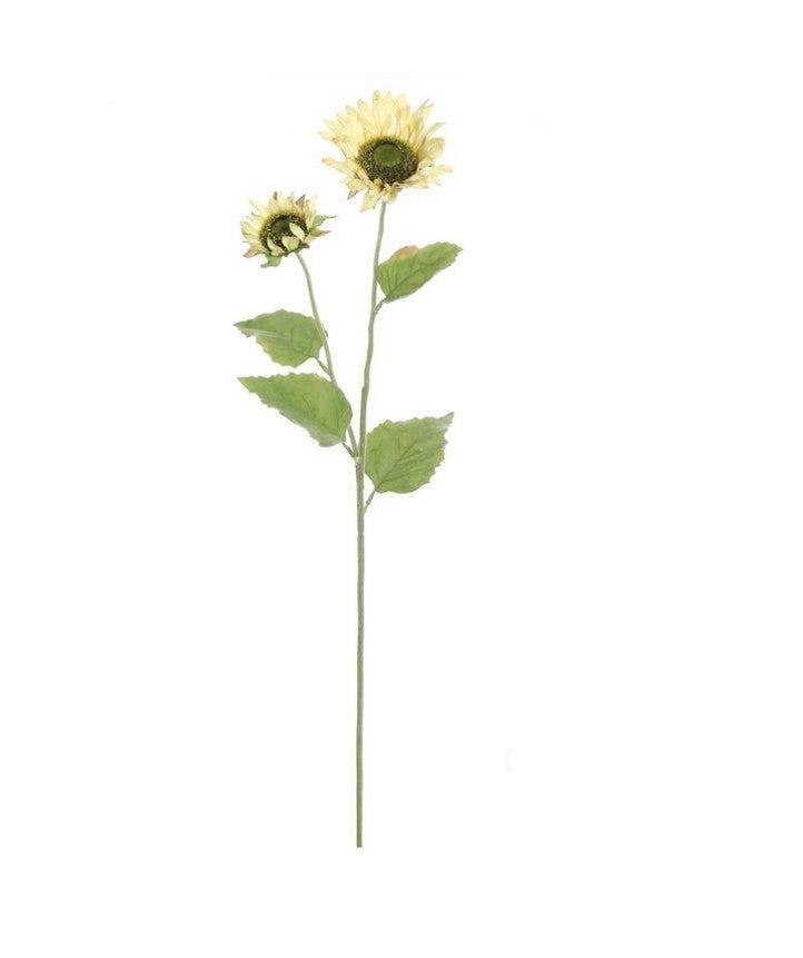 27" Sunflower Vanilla Blooms