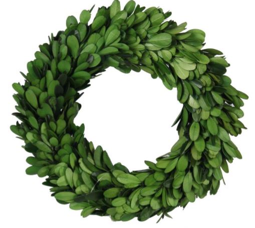 7.75" Preserved Boxwood Wreath Green with Grapevine Base